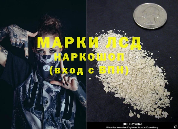 МДПВ Новозыбков