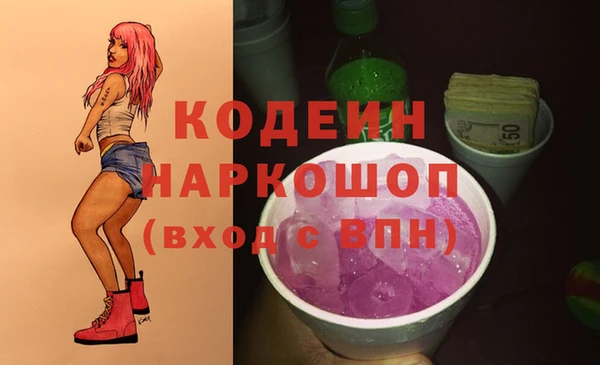 прущие крисы Ельня