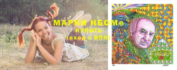 МДПВ Новозыбков