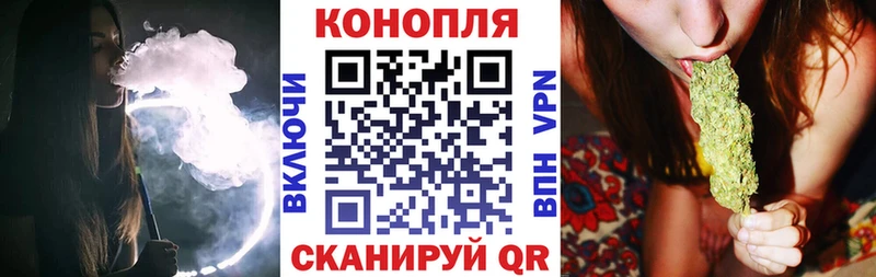 наркотики  Малая Вишера  Бошки Шишки марихуана 
